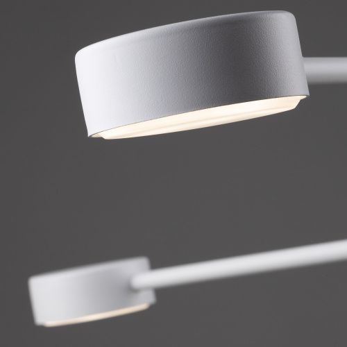 Потолочный светильник Freya FR5363CL-04W фото 3 Потолочный светильник Freya FR5363CL-04W фото 3